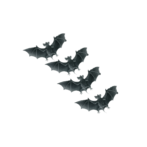 conjunto de morcegos de halloween 12708030 PNG